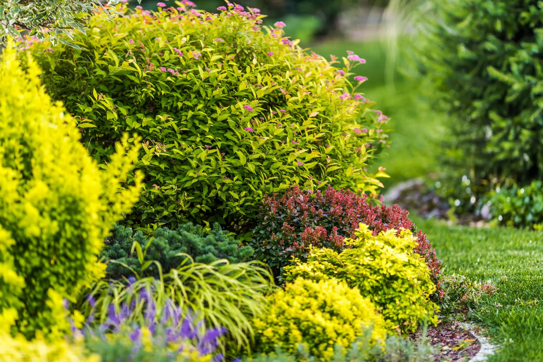 Spring Cleanup Services